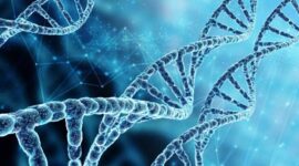 Ilustrasi Molekul Spiral DNA