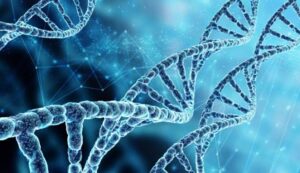 Perasaan Sebagai Sinyal Bagi DNA