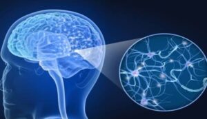 Mindset Benar Atas Kehidupan
