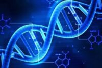 Determinisme Gen, Benarkah Ada Penyakit Keturunan?